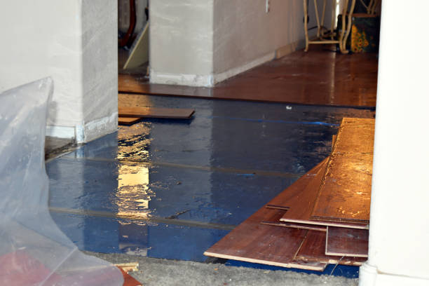 Professional Water Damage Restoration technician working in Redford, MI